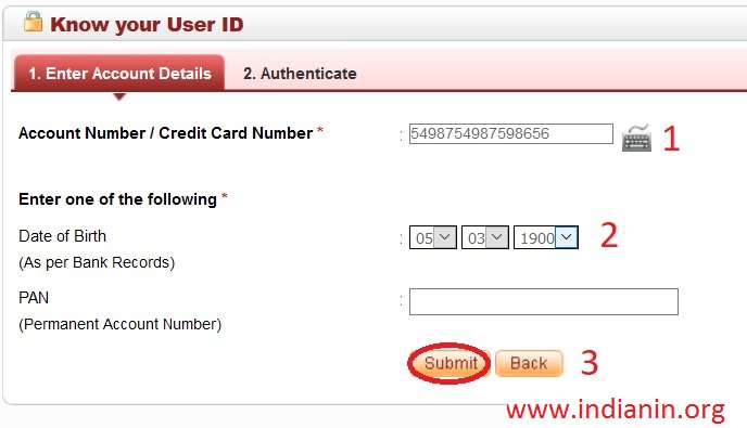 how to check indusind credit card application status online